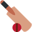 CricketCast icon